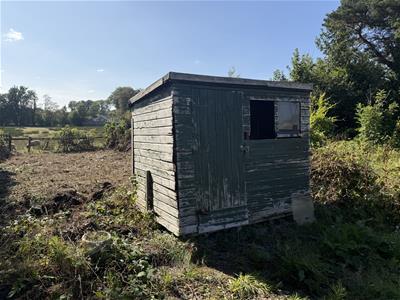 Picture 19
